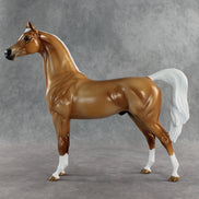 Freddie OOAK Arabian Stallion by Angela Marleau DDOOAKs26