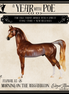 Fluvial LE-25 EFCM Arabian Stallion by Ellen Robbins & Melanie Miller YP26
