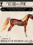 Lenape LE-15 EFCM Chip Arabian by Ellen Robbins & Melanie Miller YP26