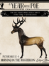 Picturesque LE-5 EFCM Arabian Stallion by Ellen Robbins & Melanie Miller YP26