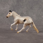 Frisco OOAK Chip Cutting Horse by Anna Rieck LHS26