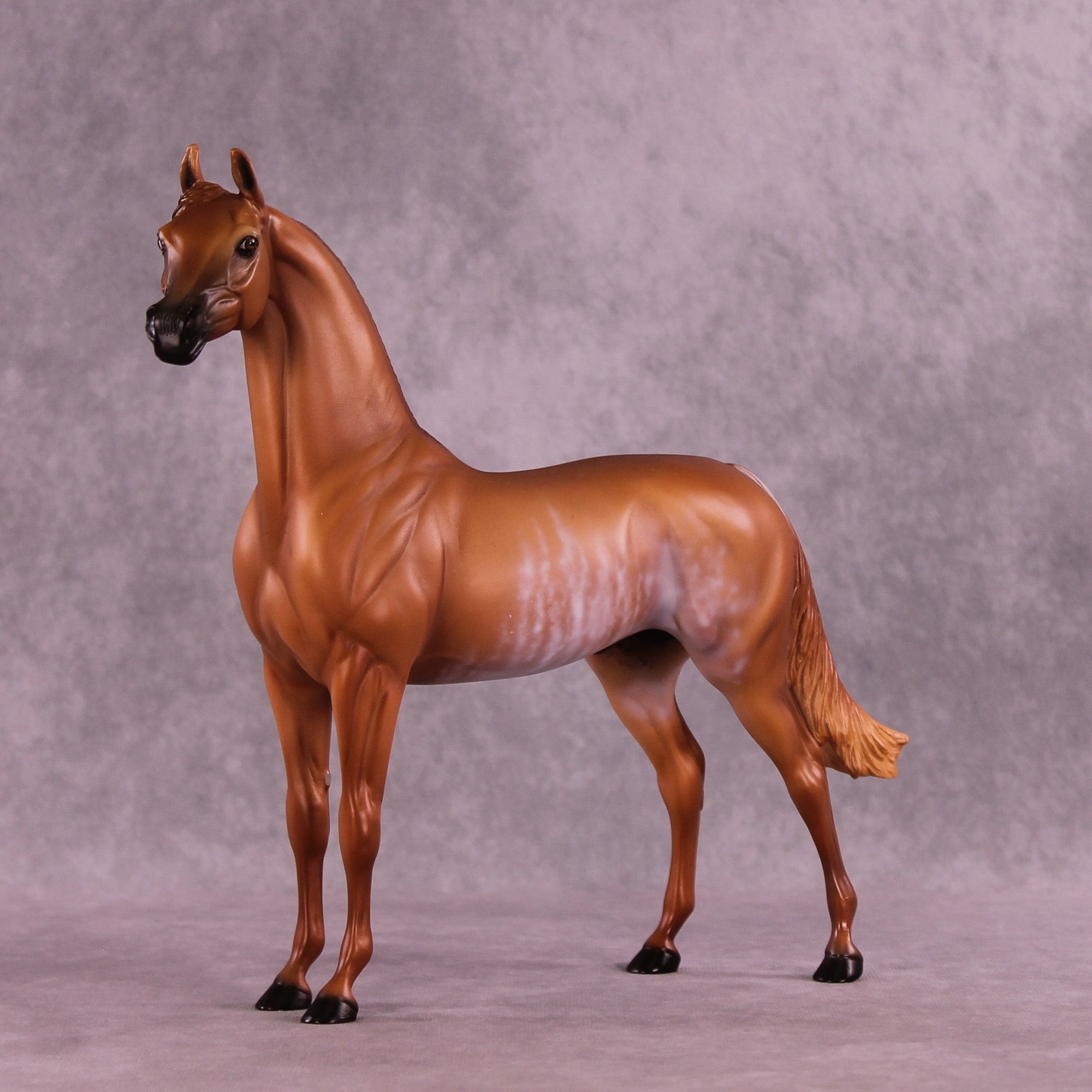 Frost Fingers OOAK Arabian Stallion by Ellen Robbins MM25 Group B