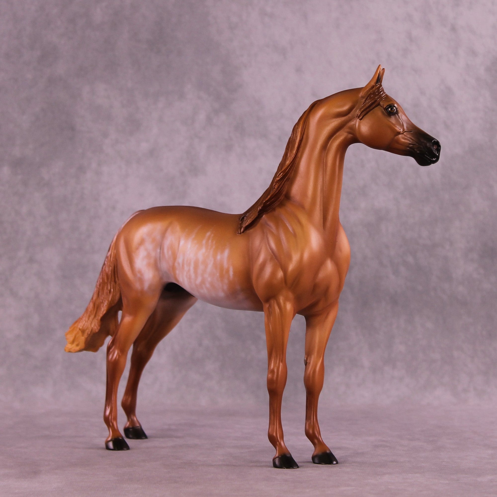 Frost Fingers OOAK Arabian Stallion by Ellen Robbins MM25 Group B