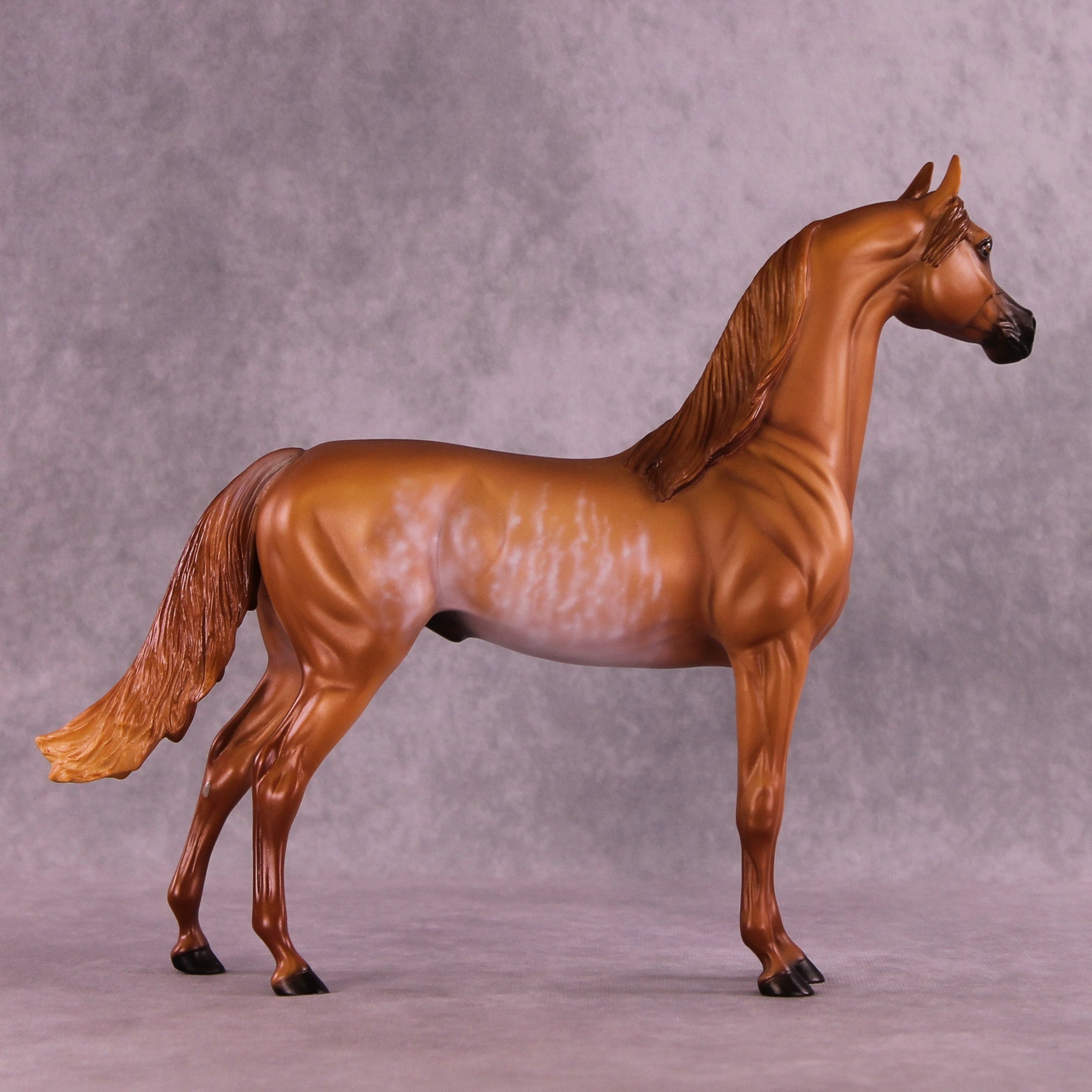 Frost Fingers OOAK Arabian Stallion by Ellen Robbins MM25 Group B