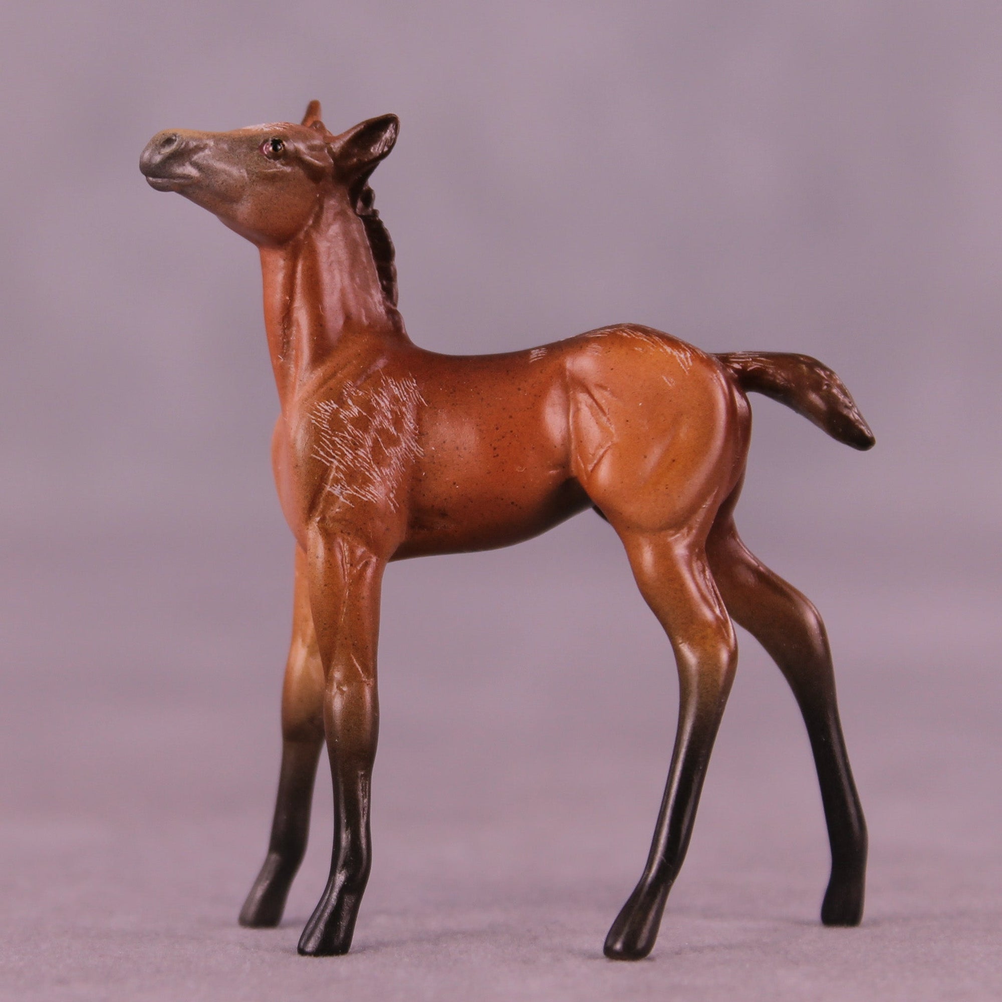 Fueled by Coffee OOAK Chip Foal by Anna Rieck MM25 Group B