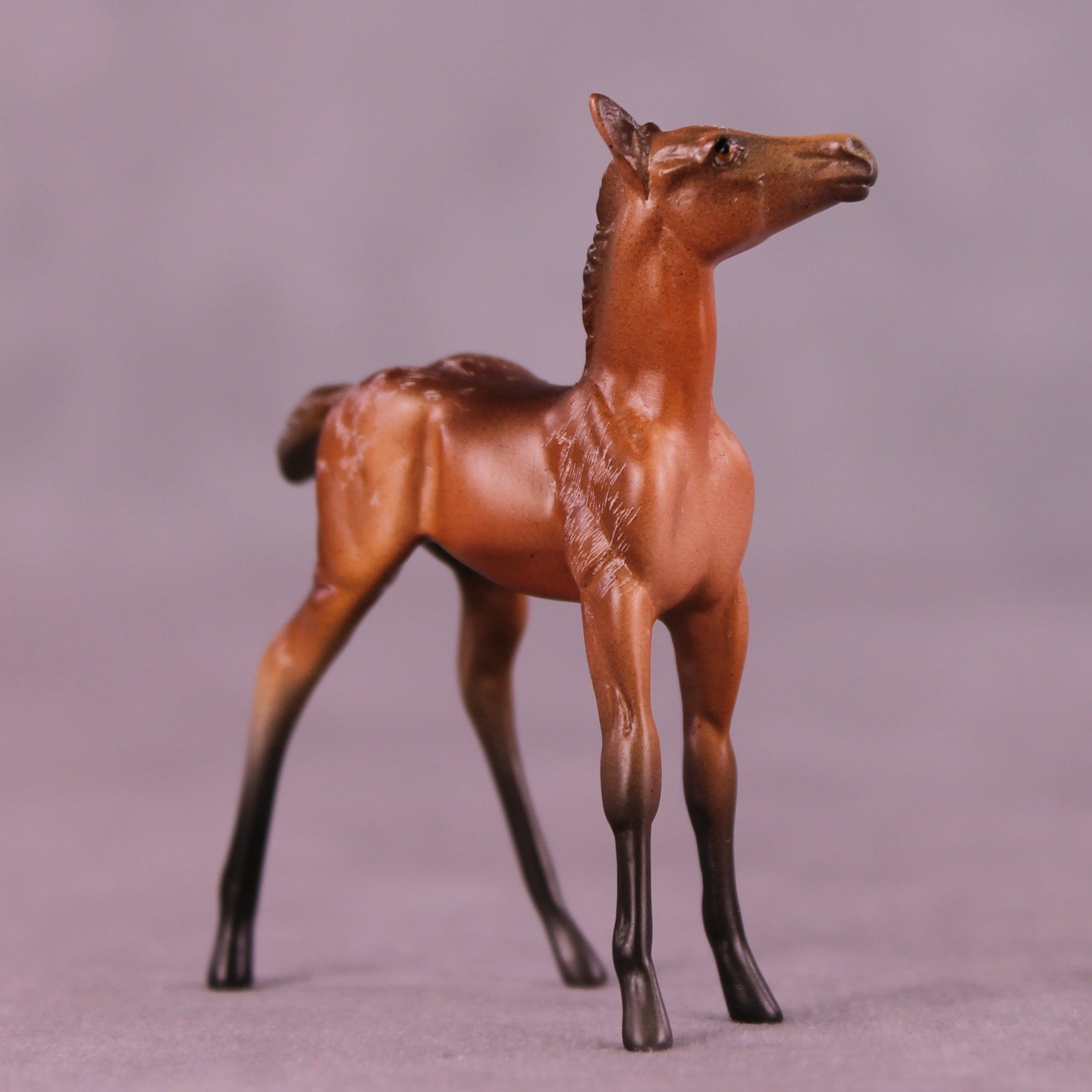 Fueled by Coffee OOAK Chip Foal by Anna Rieck MM25 Group B