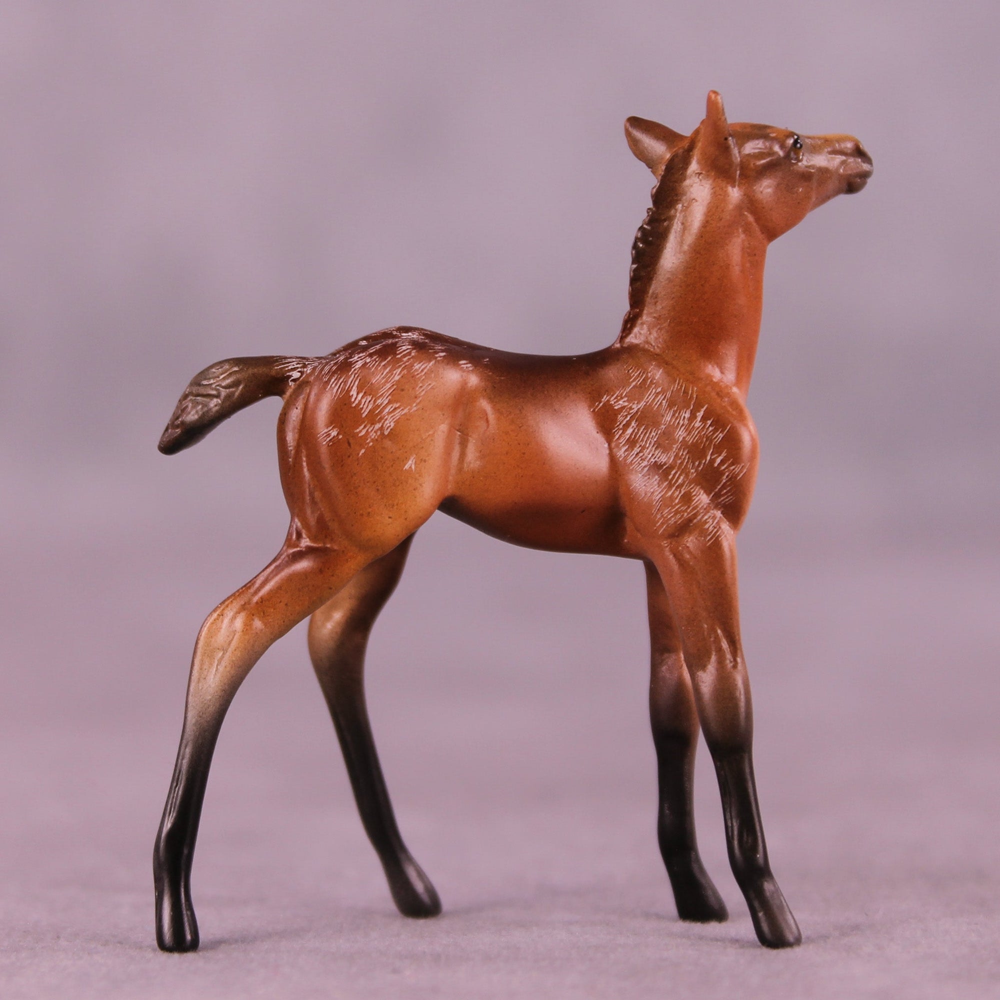 Fueled by Coffee OOAK Chip Foal by Anna Rieck MM25 Group B