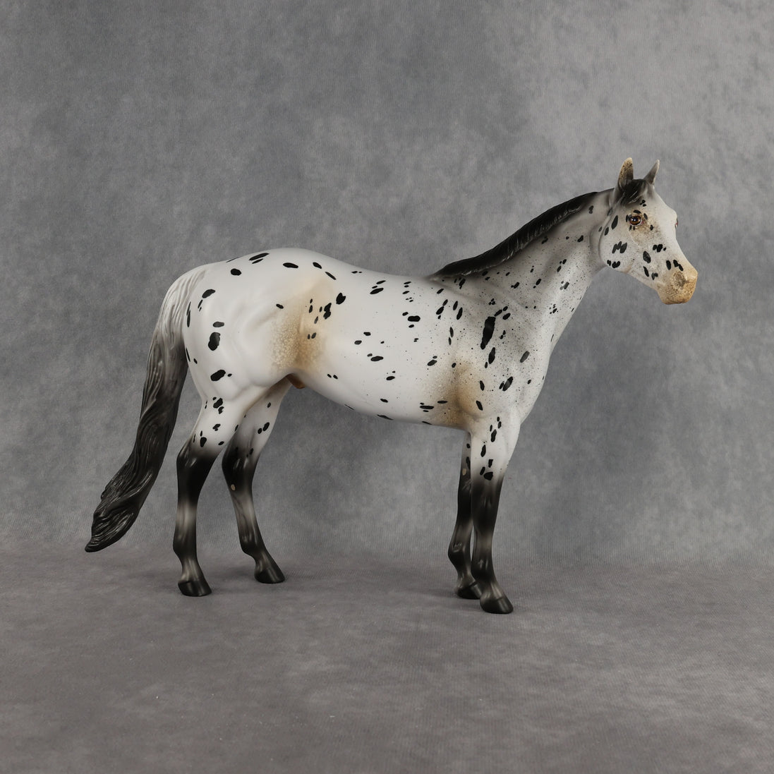 Funfetti OOAK Ideal Stock Horse by Anna Rieck DDOOAKs26
