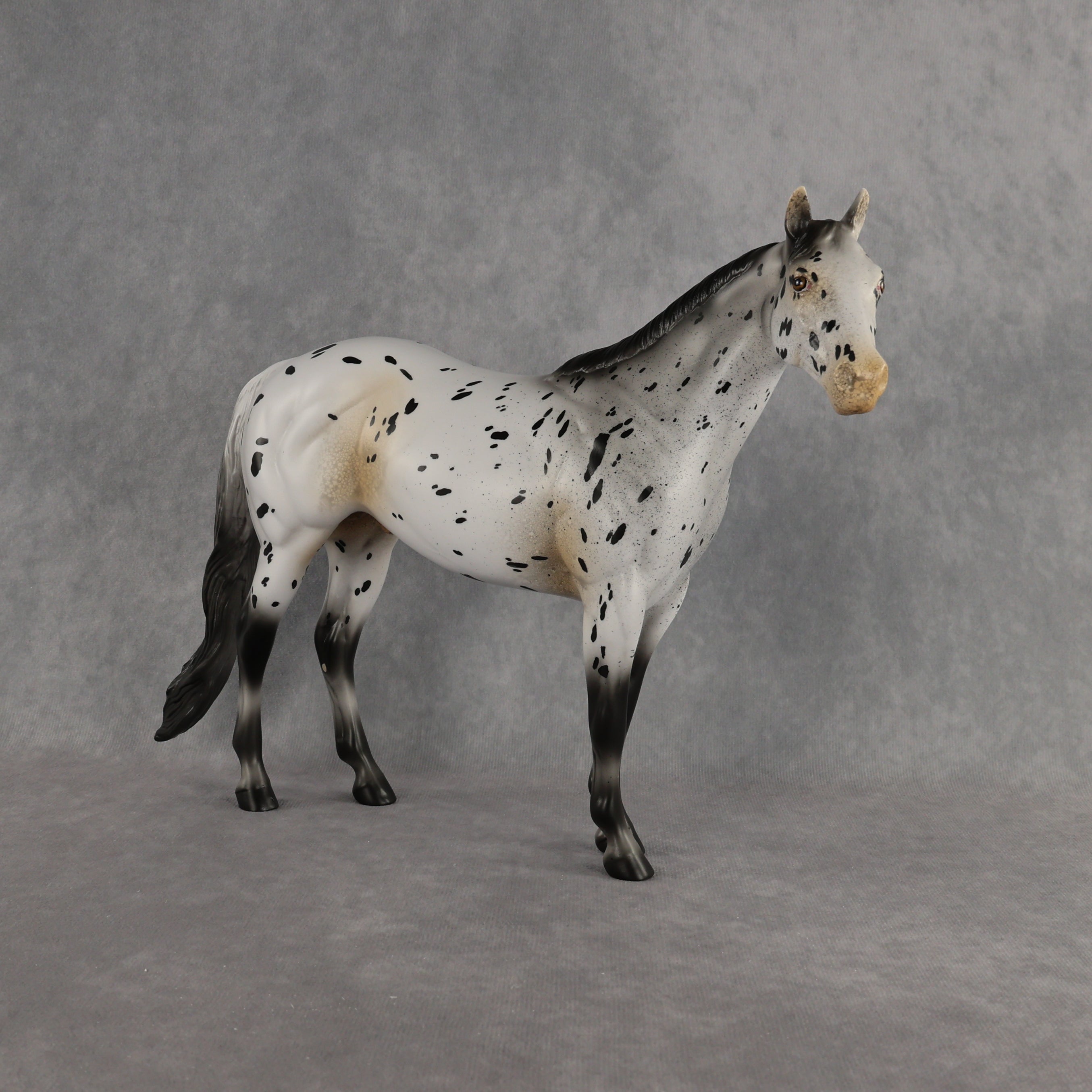 Funfetti OOAK Ideal Stock Horse by Anna Rieck DDOOAKs26
