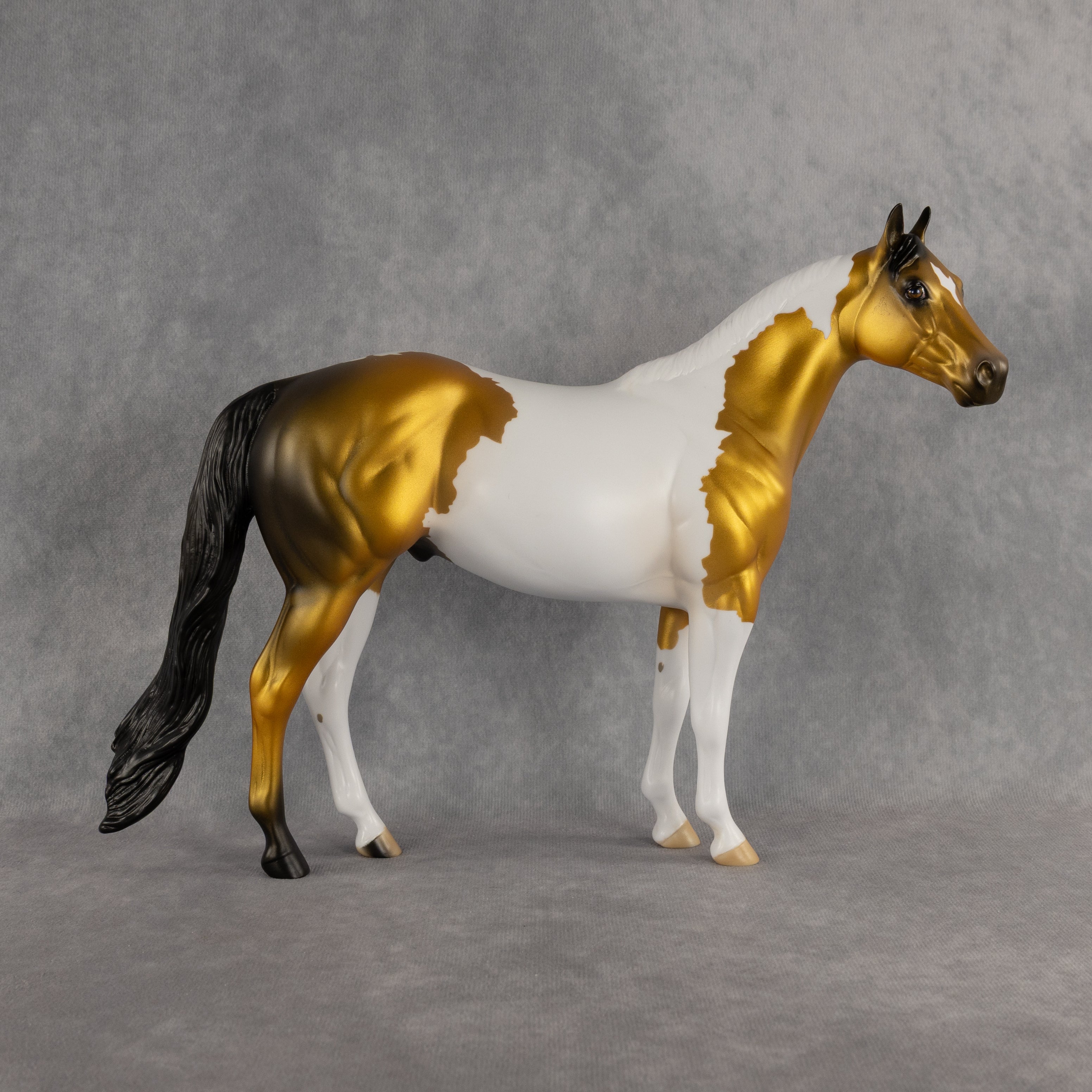 Funfetti OOAK Ideal Stock Horse by Anna Rieck DDOOAKs26