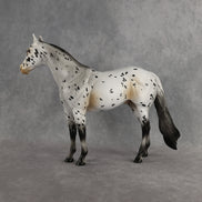 Funfetti OOAK Ideal Stock Horse by Anna Rieck DDOOAKs26