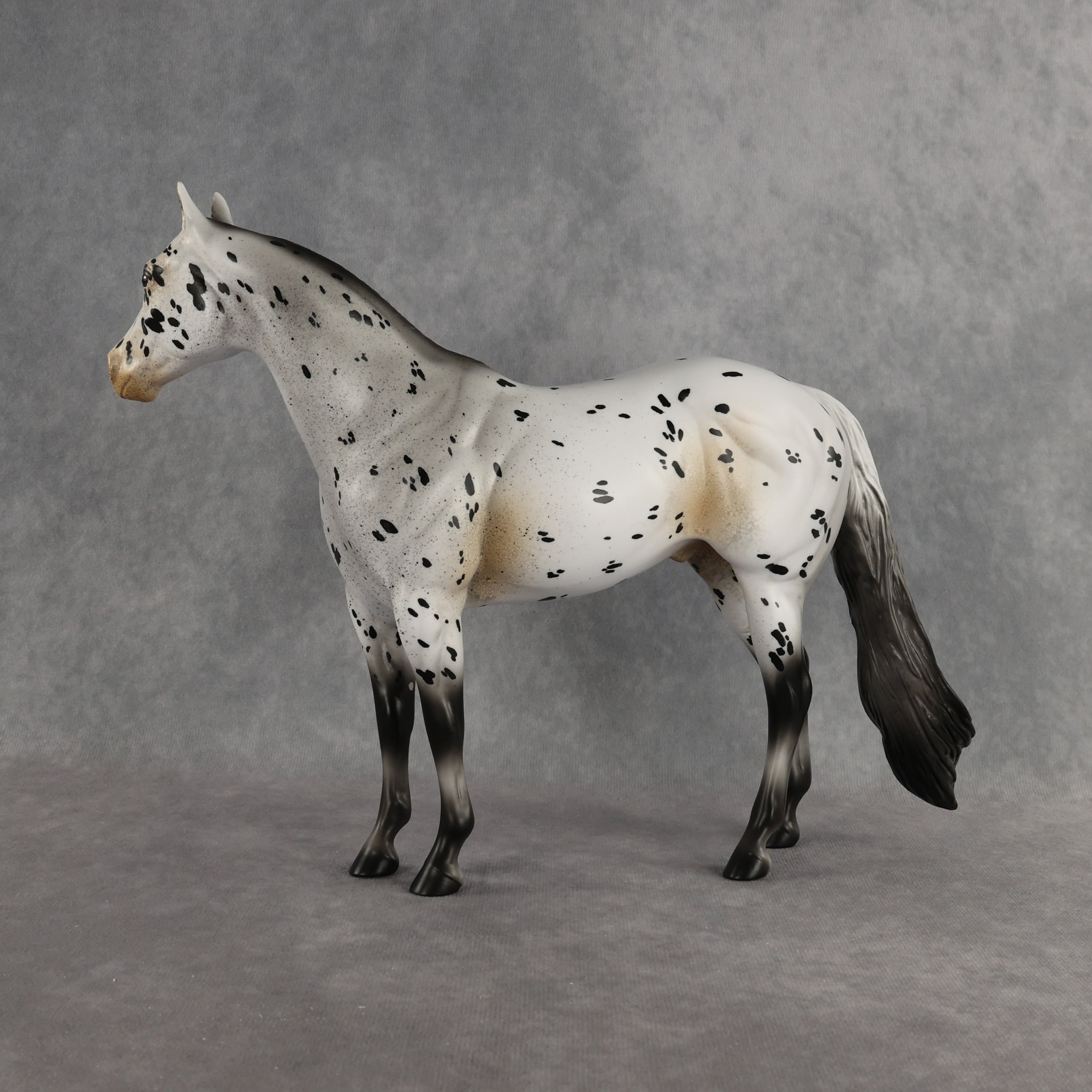 Funfetti OOAK Ideal Stock Horse by Anna Rieck DDOOAKs26