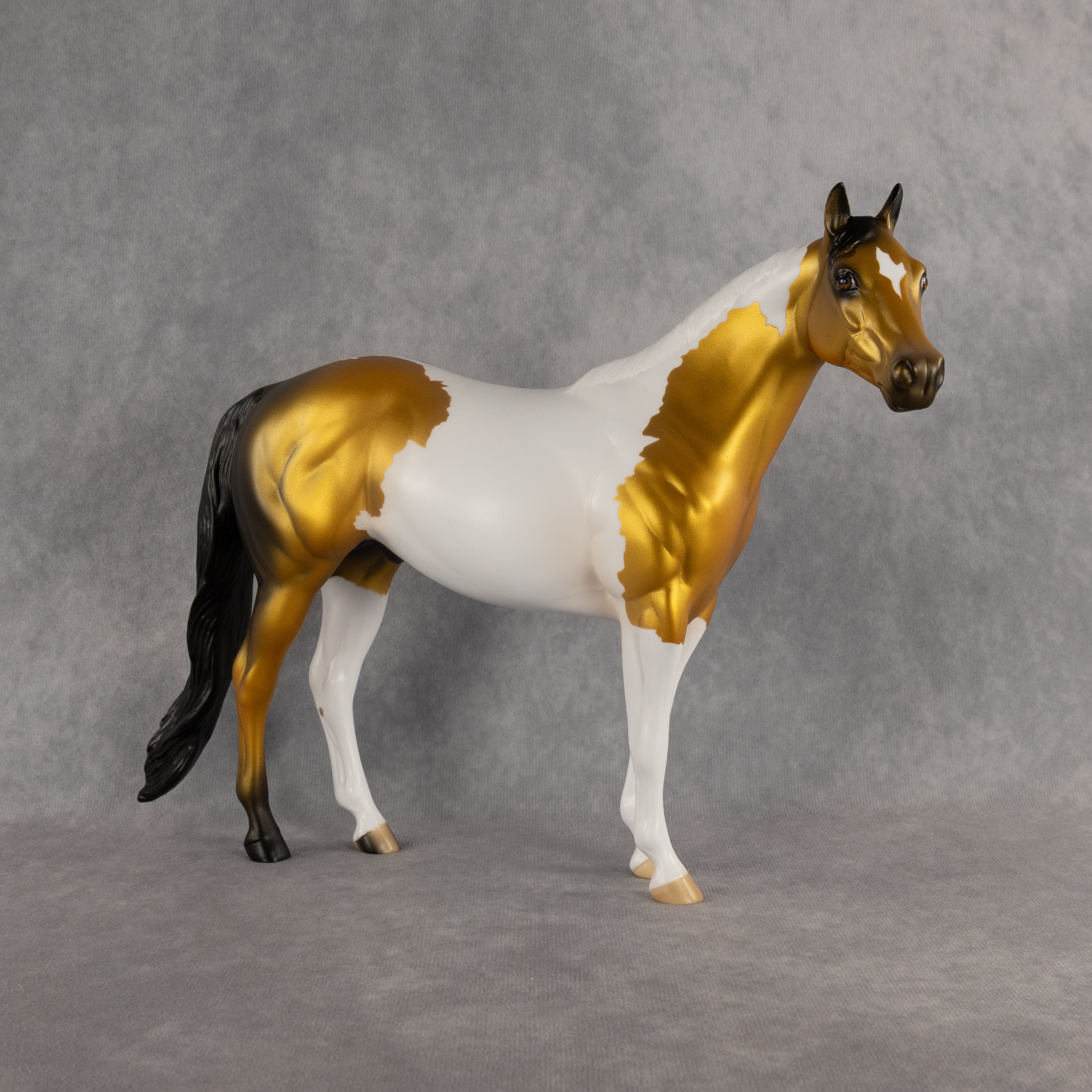 Funfetti OOAK Ideal Stock Horse by Anna Rieck DDOOAKs26