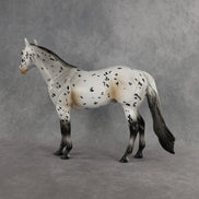 Funfetti OOAK Ideal Stock Horse by Anna Rieck DDOOAKs26