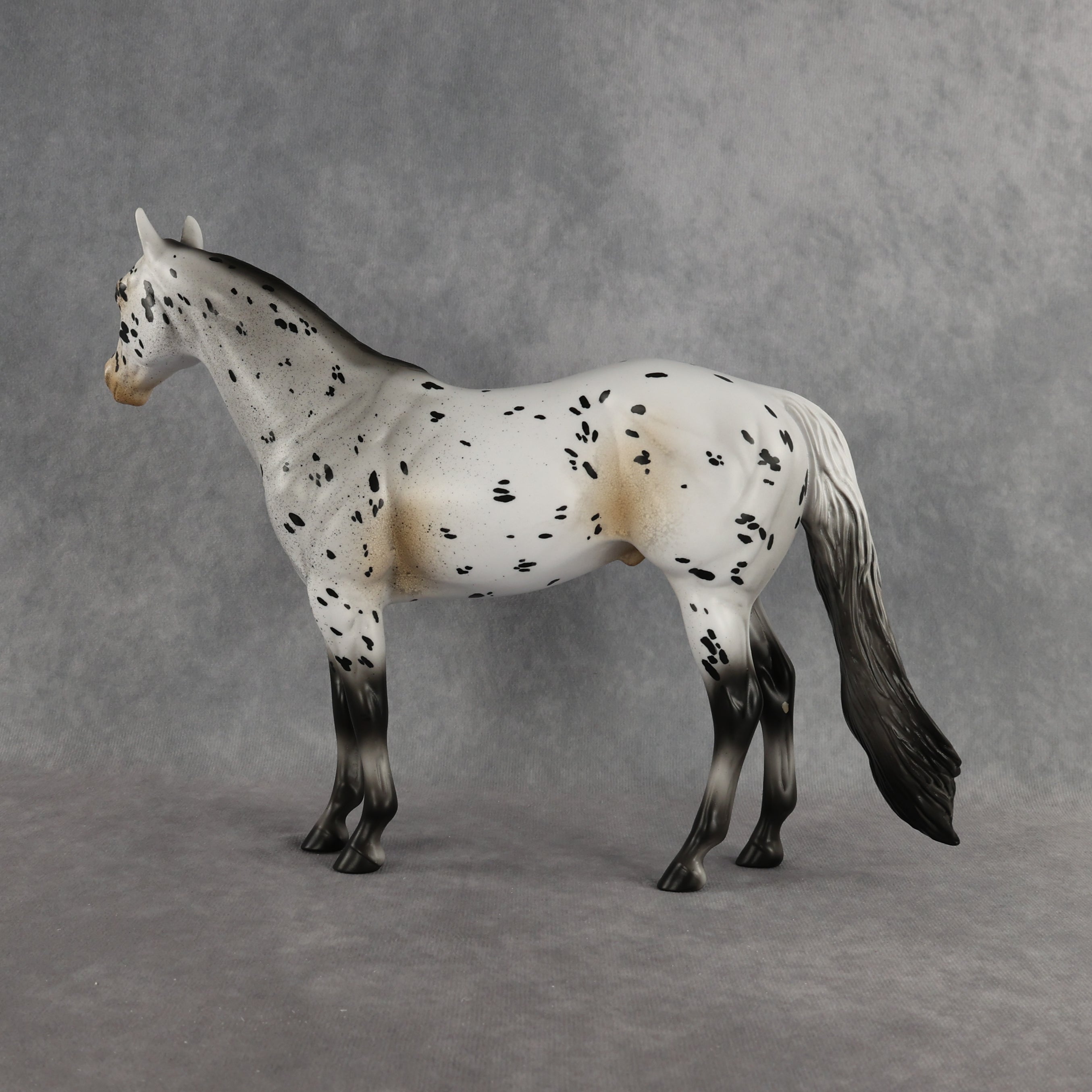 Funfetti OOAK Ideal Stock Horse by Anna Rieck DDOOAKs26