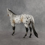 Funfetti OOAK Ideal Stock Horse by Anna Rieck DDOOAKs26