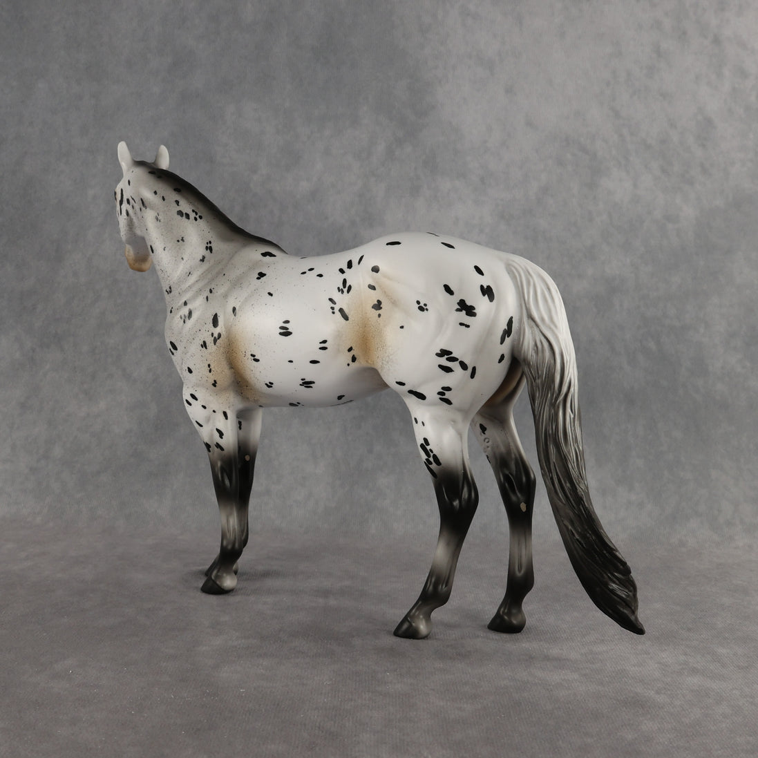 Funfetti OOAK Ideal Stock Horse by Anna Rieck DDOOAKs26