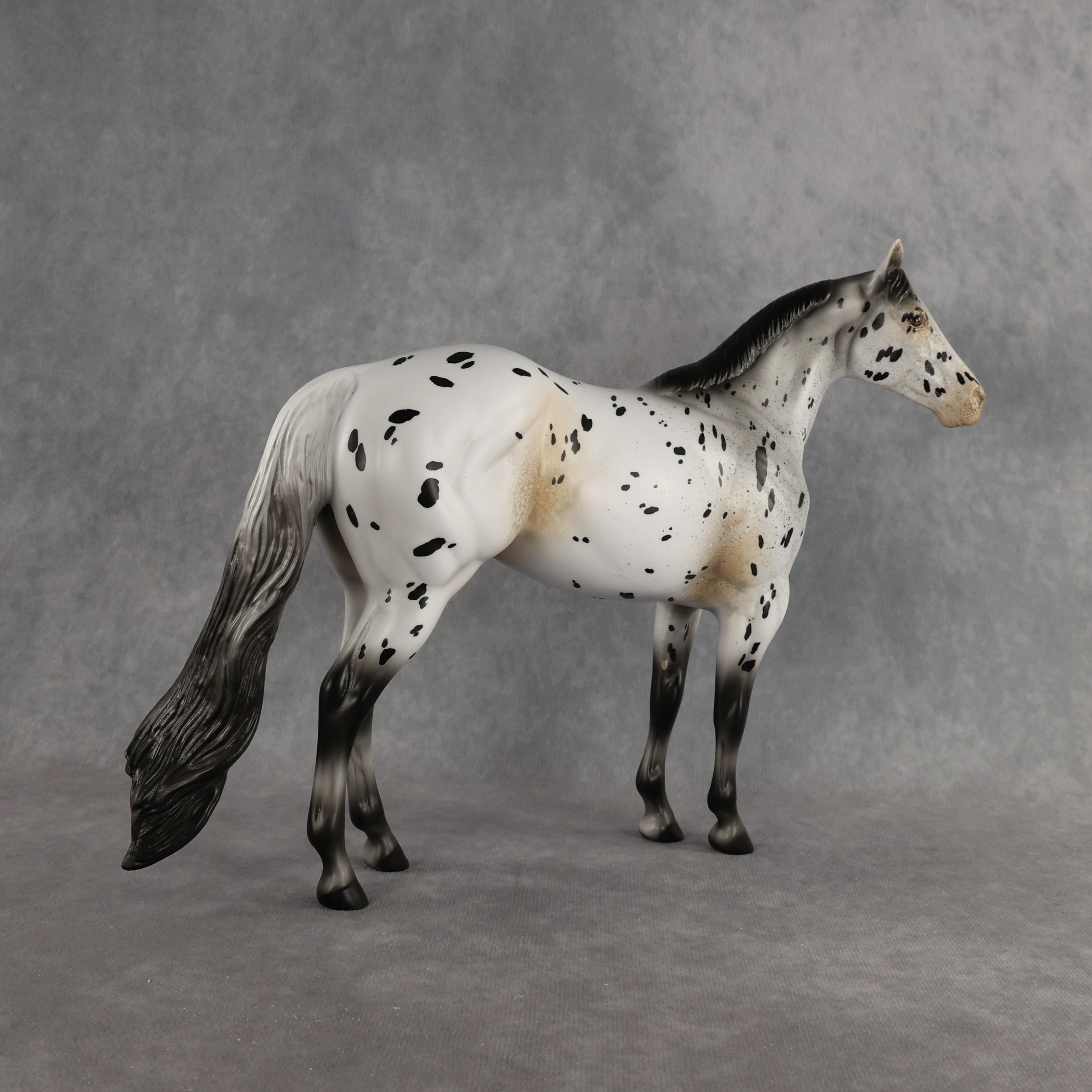 Funfetti OOAK Ideal Stock Horse by Anna Rieck DDOOAKs26