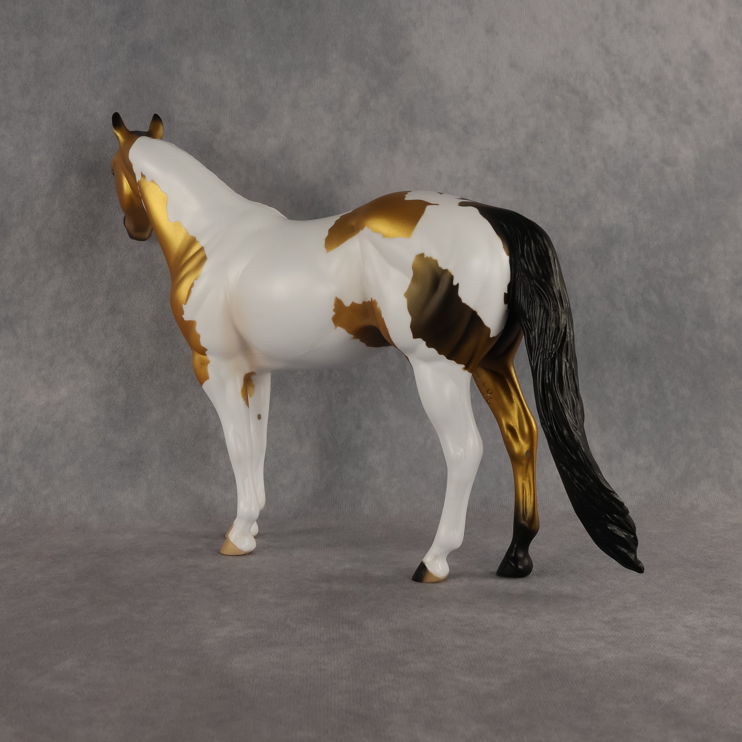 Funfetti OOAK Ideal Stock Horse by Anna Rieck DDOOAKs26