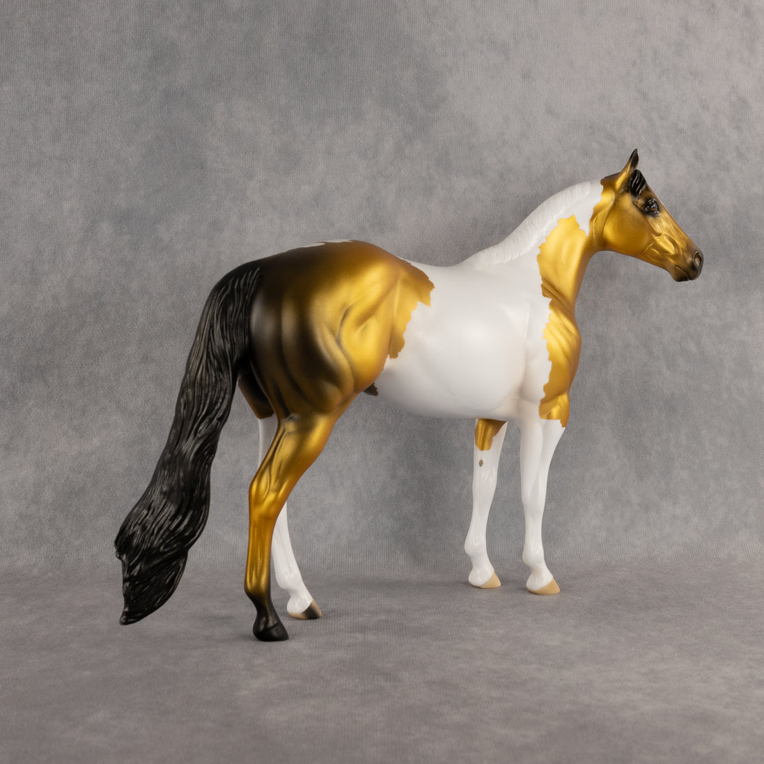 Funfetti OOAK Ideal Stock Horse by Anna Rieck DDOOAKs26