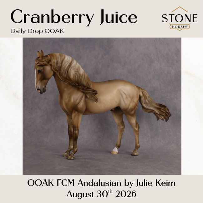 Cranberry Juice OOAK FCM Andalusian by Julie Keim DDOOAKs26