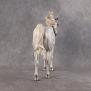 Gandolf The Grey OOAK FCM Andalusian by Mindy Berg Best Offer 10.13.2026
