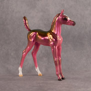 Genivive OOAK Arabian Foal by Erin Corbett EQ26
