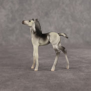 Gertrude OOAK FCM Chip Foal by Angela Marleau FTF26