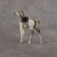 Gertrude OOAK FCM Chip Foal by Angela Marleau FTF26