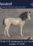Ghosted OOAK FCM Andalusian by Jess Hamill DDOOAKs26