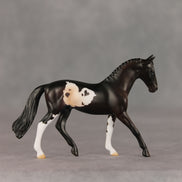 Gimmie Chocolates OOAK Chip Warmblood by Anna Rieck VV26