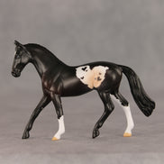 Gimmie Chocolates OOAK Chip Warmblood by Anna Rieck VV26