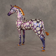 Giraffish OOAK EFCM Arabian Stallion by Kristen Cermele Best Offer 9.29.2026