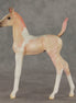 Girlypop OOAK Arabian Foal by Jess Hamill VV26