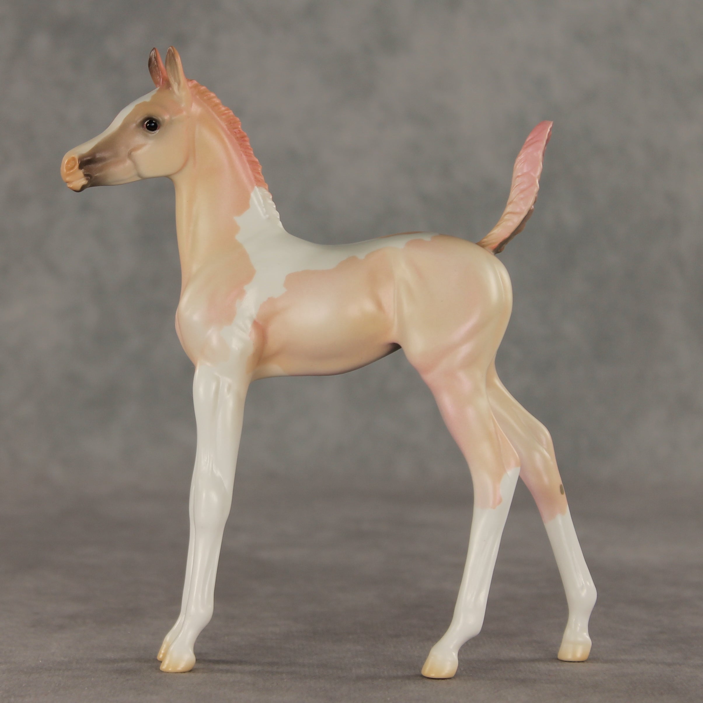 Girlypop OOAK Arabian Foal by Jess Hamill VV26