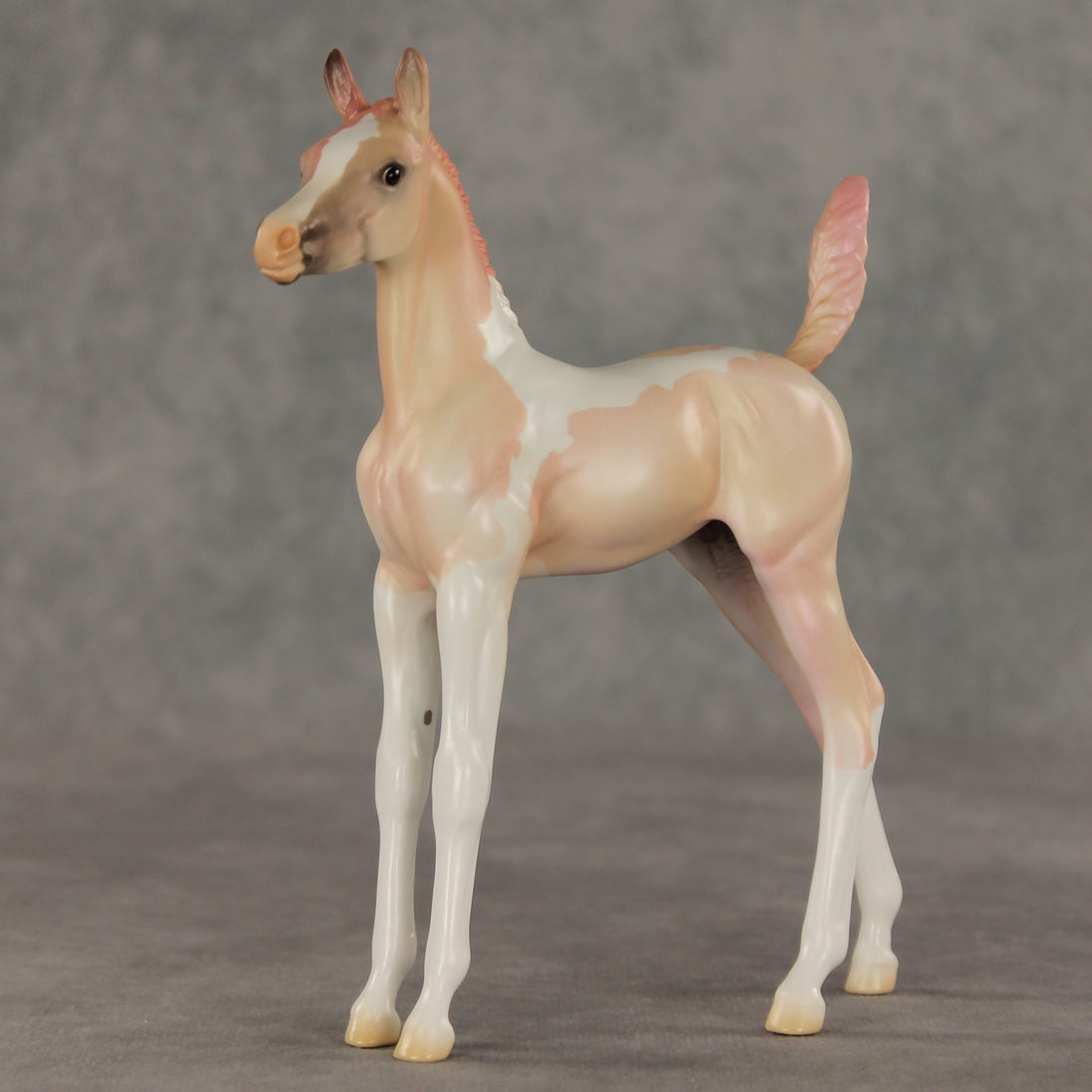 Girlypop OOAK Arabian Foal by Jess Hamill VV26