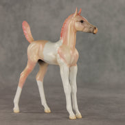 Girlypop OOAK Arabian Foal by Jess Hamill VV26