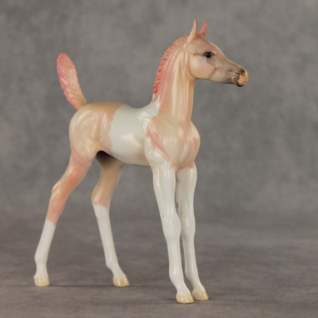Girlypop OOAK Arabian Foal by Jess Hamill VV26