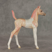 Girlypop OOAK Arabian Foal by Jess Hamill VV26