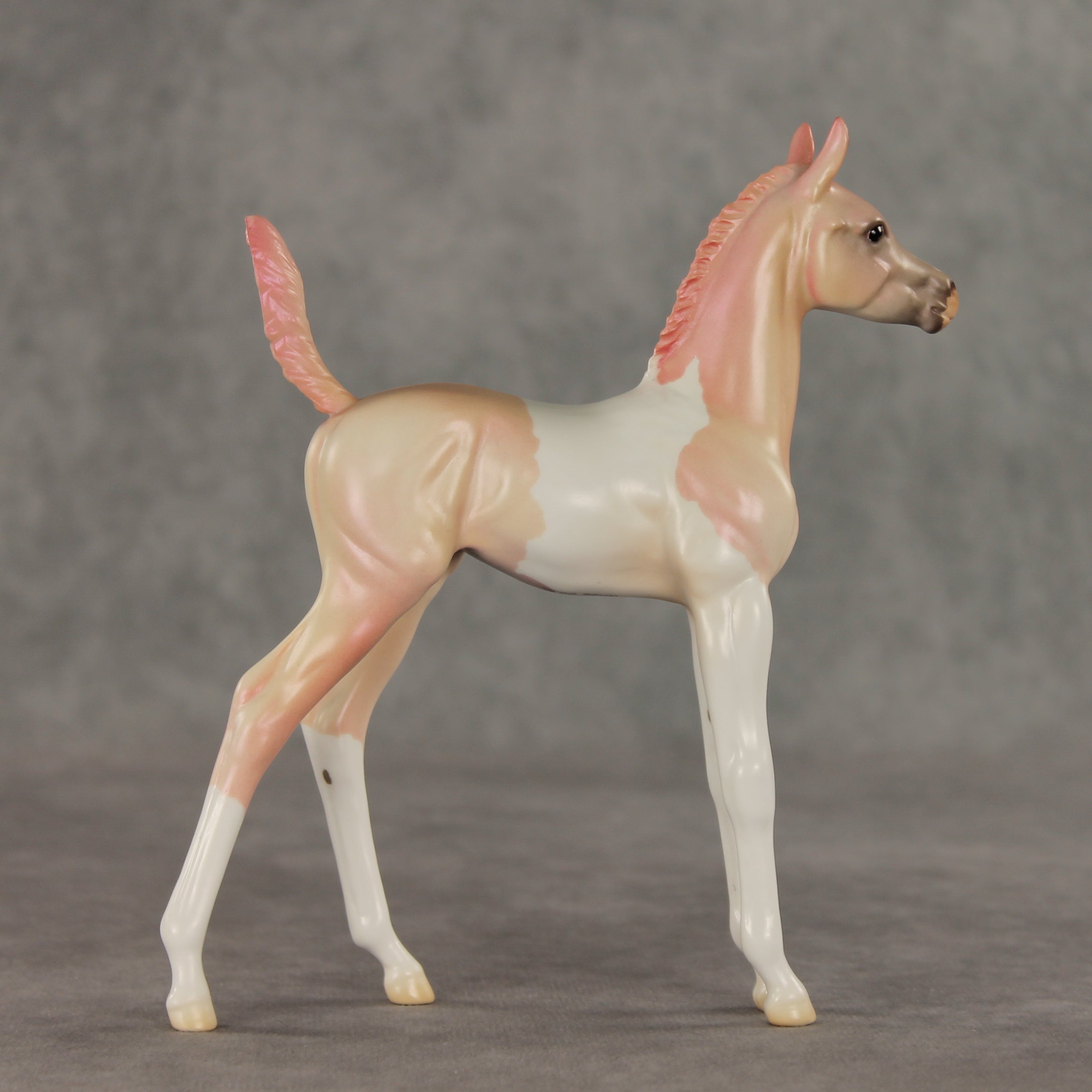 Girlypop OOAK Arabian Foal by Jess Hamill VV26