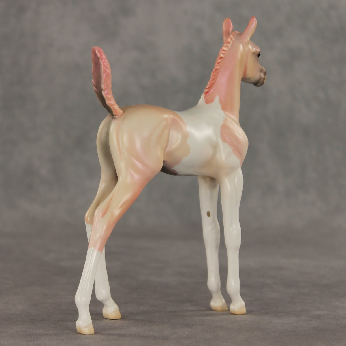 Girlypop OOAK Arabian Foal by Jess Hamill VV26