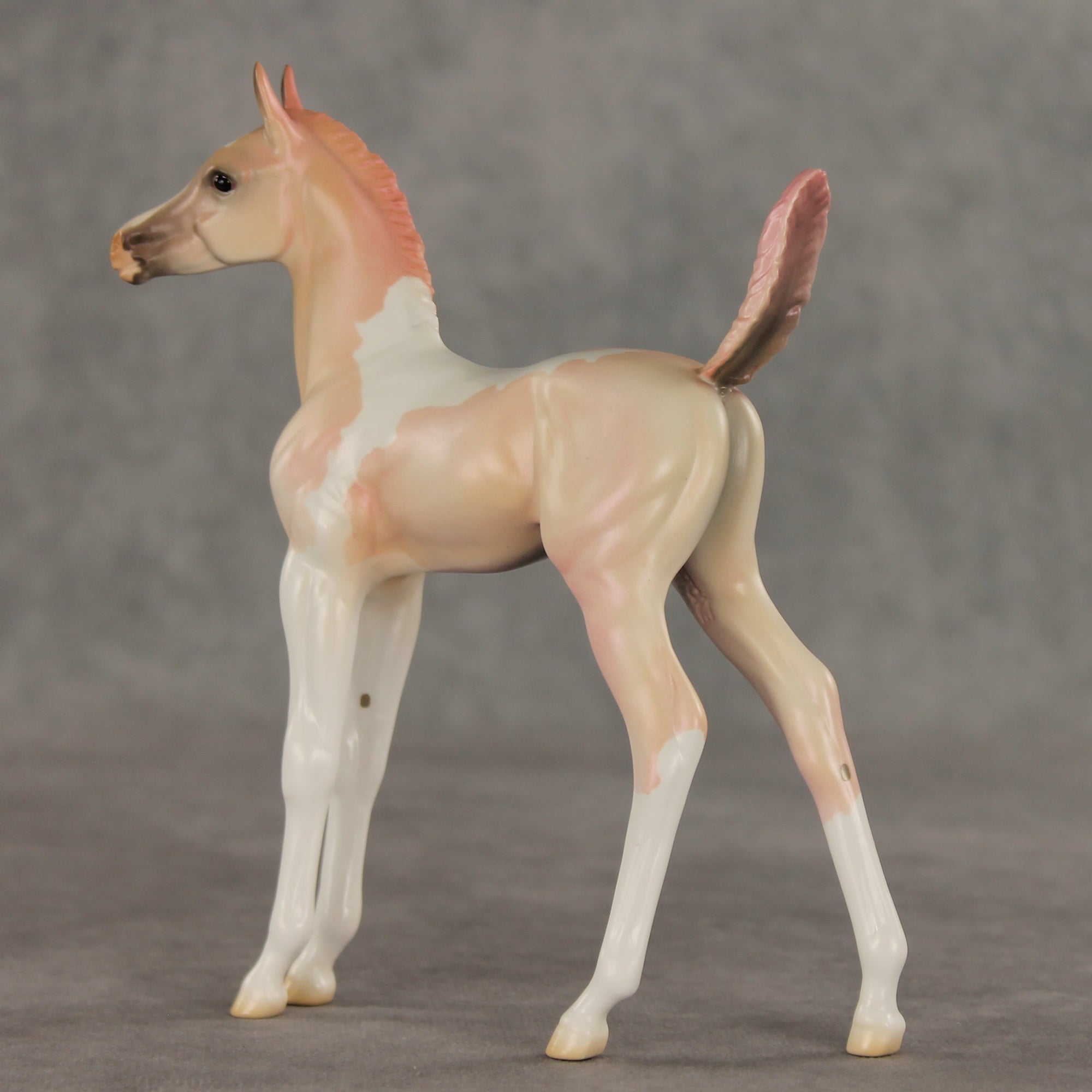 Girlypop OOAK Arabian Foal by Jess Hamill VV26