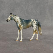 Alpine OOAK Chip Thoroughbred by Dawn Quick SHCF26