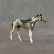 Alpine OOAK Chip Thoroughbred by Dawn Quick SHCF26