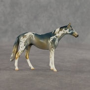 Alpine OOAK Chip Thoroughbred by Dawn Quick SHCF26