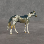 Alpine OOAK Chip Thoroughbred by Dawn Quick SHCF26