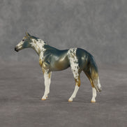 Alpine OOAK Chip Thoroughbred by Dawn Quick SHCF26