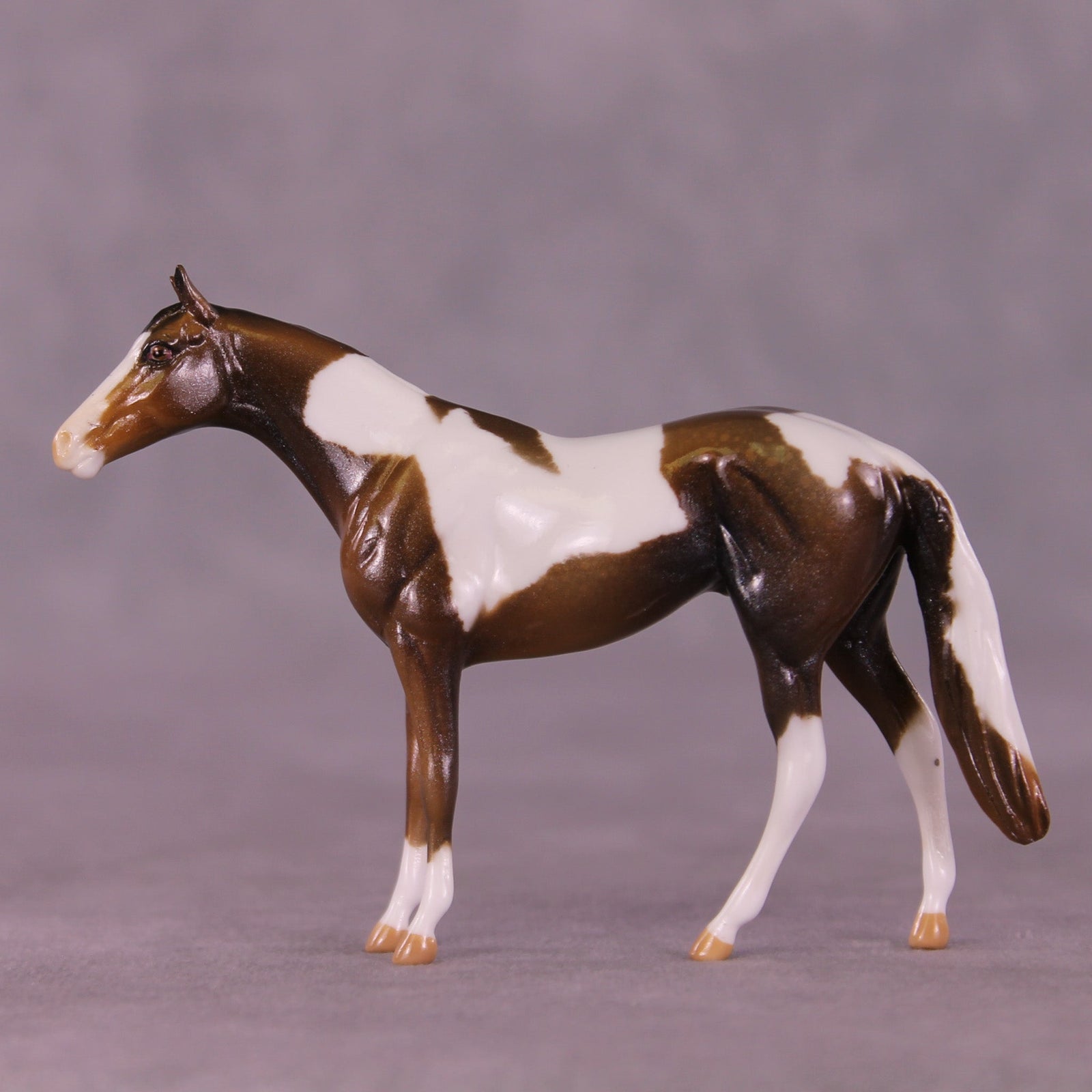 Glimmer OOAK Chip Thoroughbred  by Kike (Enrique) Duarte MM25 Group D