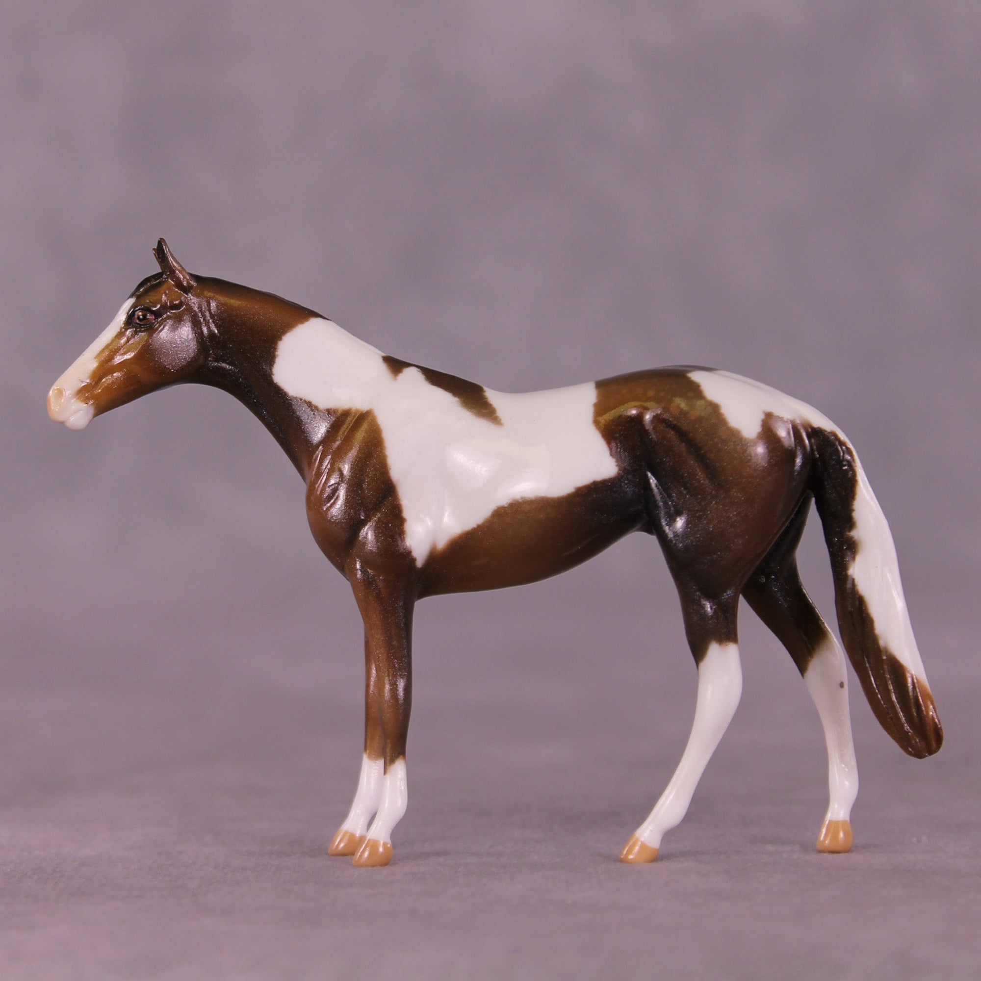Glimmer OOAK Chip Thoroughbred  by Kike (Enrique) Duarte MM25 Group D