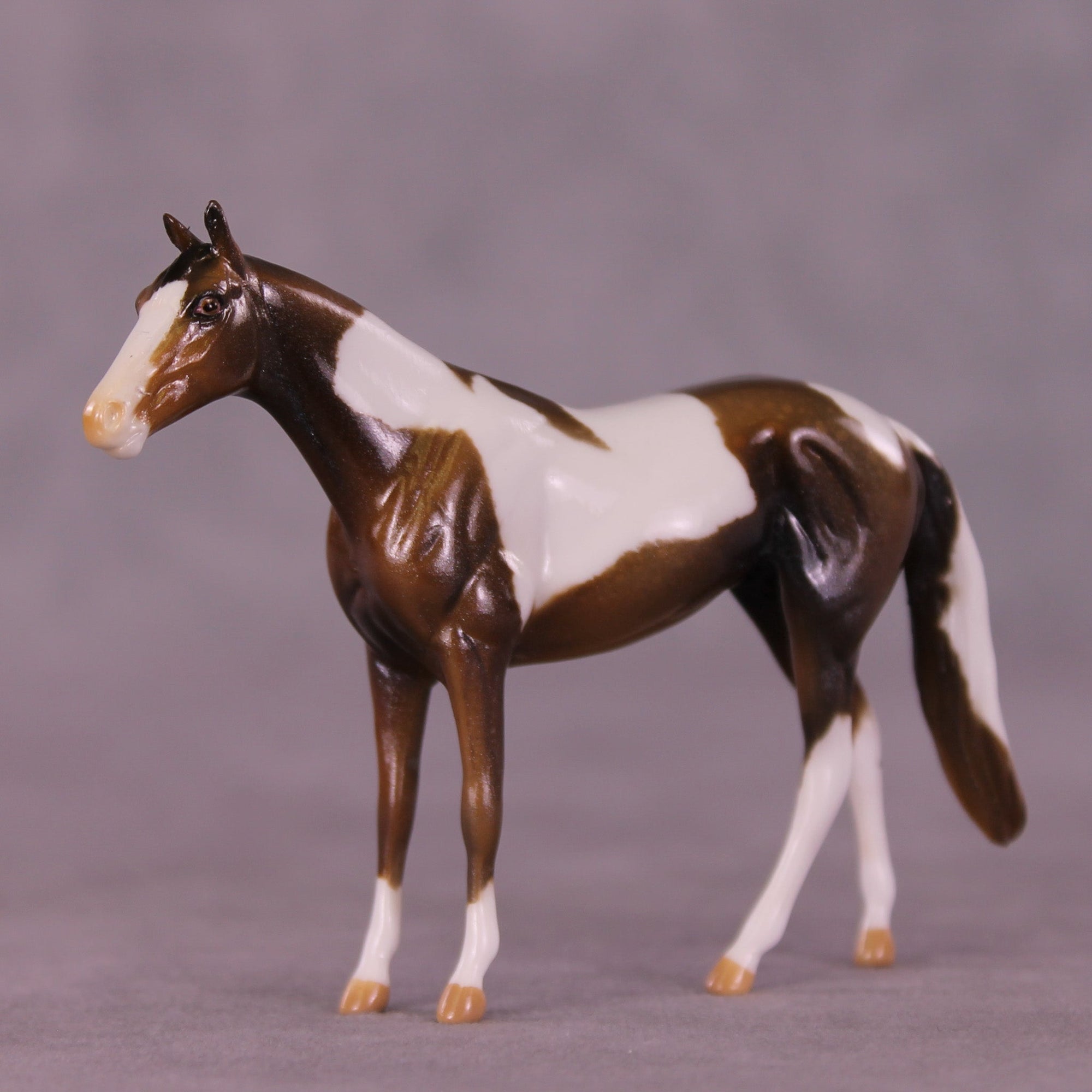 Glimmer OOAK Chip Thoroughbred  by Kike (Enrique) Duarte MM25 Group D